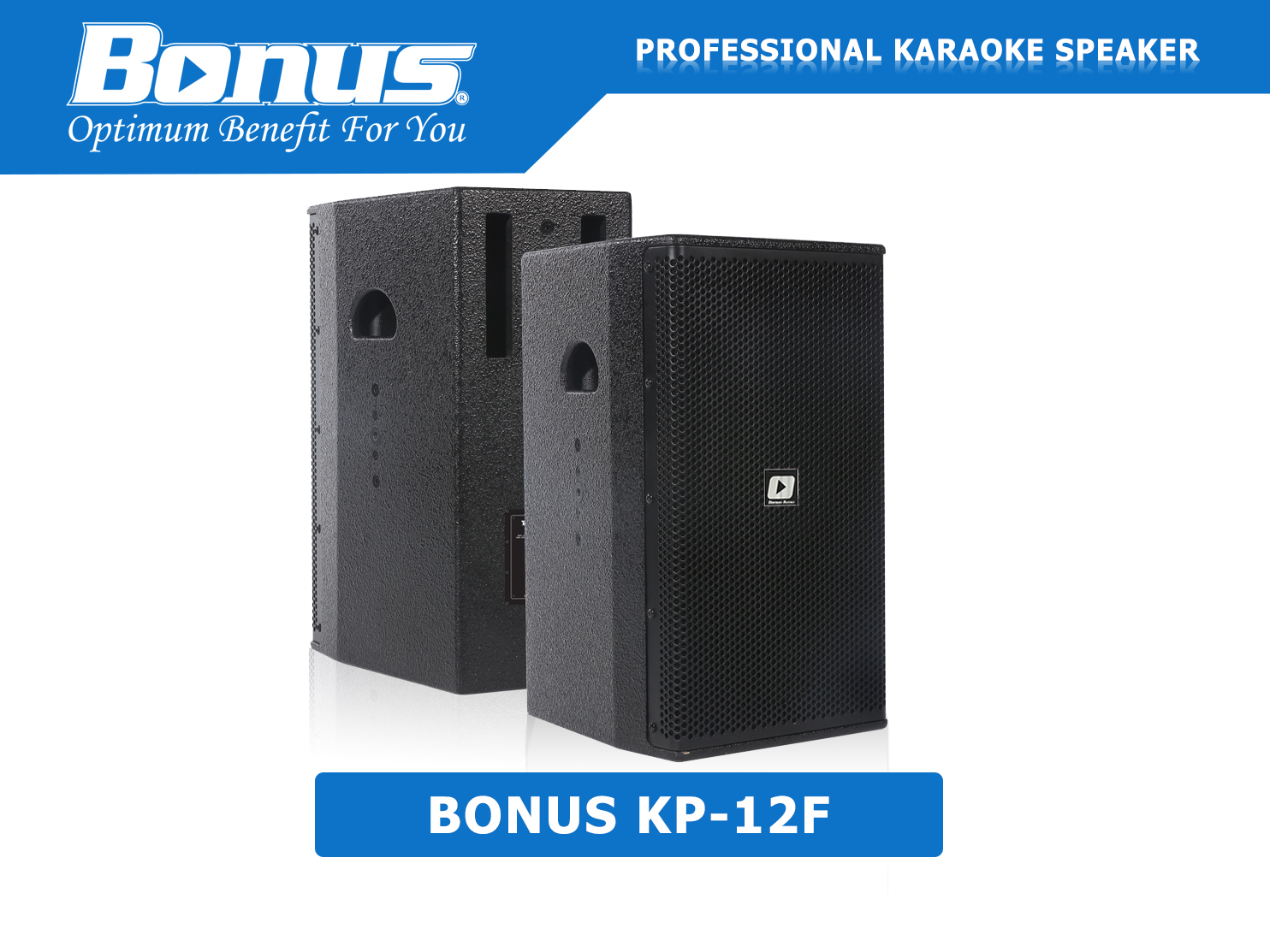 Loa Bonus KP-12F